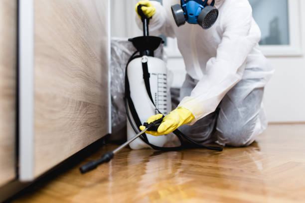 Best Flea Control Services  in Norcross, GA