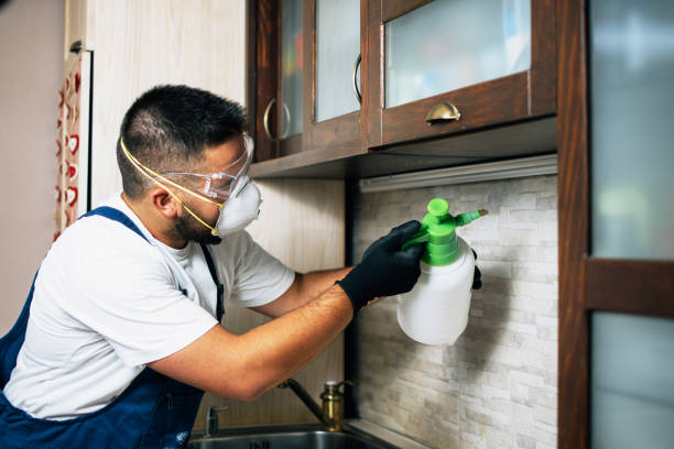Best Commercial Pest Control Services  in Norcross, GA
