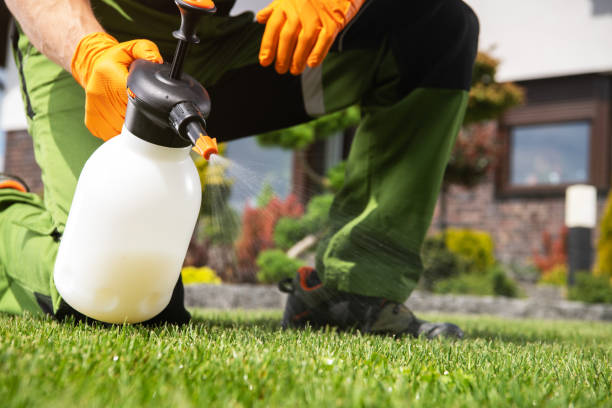 Flea Control Services in Norcross, GA