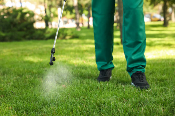 Best Pest Inspection Near Me  in Norcross, GA