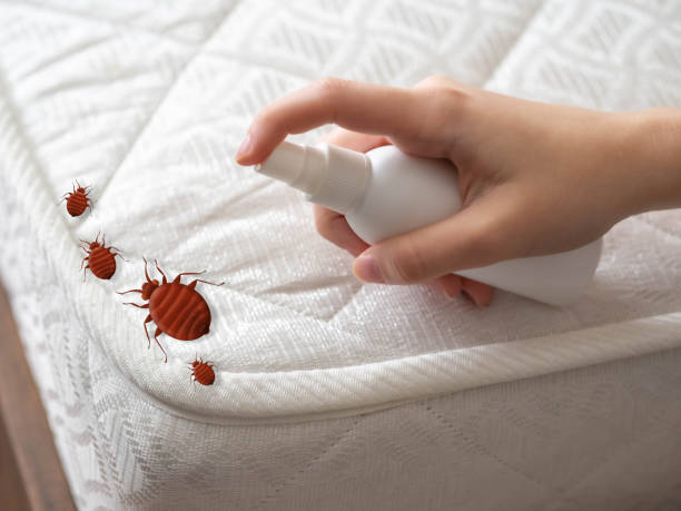 Best Pest Inspection Near Me  in Norcross, GA