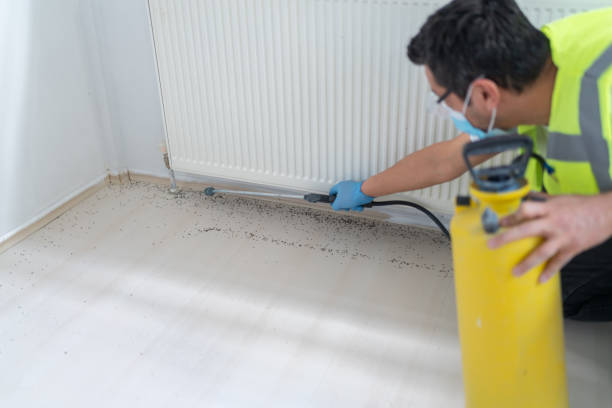 Best Pest Control Near Me in Norcross, GA